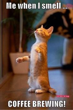 324b23c3d639d945bcc86307f024cd5b