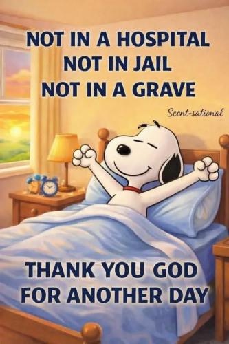 17709816313894886169536782499293_536923766175072