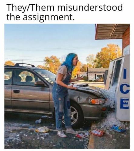 misunderstood-assignment