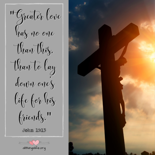 e209d0_8e919d36dbc5464f93c85d7cec5ff311~mv2