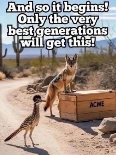 17703752275955808345053831221771_194073471558933