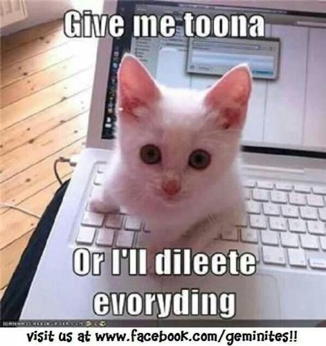 9a9ddb818082aafc2668e485cc512195