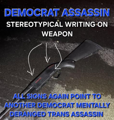 Anothertransassassin