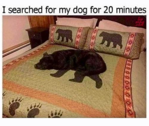 main-qimg-6b55a20b58182a572da64b9f86149e7a