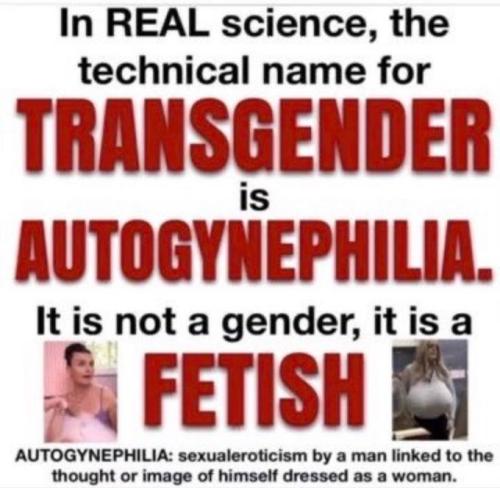 Progressive Psychosis 1