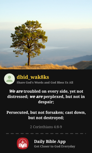 2026-02-151771178184869