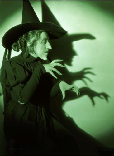 Screenshot_20260218_110546_Chrome~2