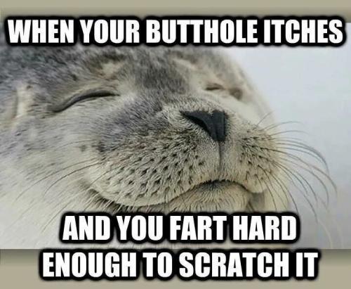 fart-hard-enough-scratch-butthole