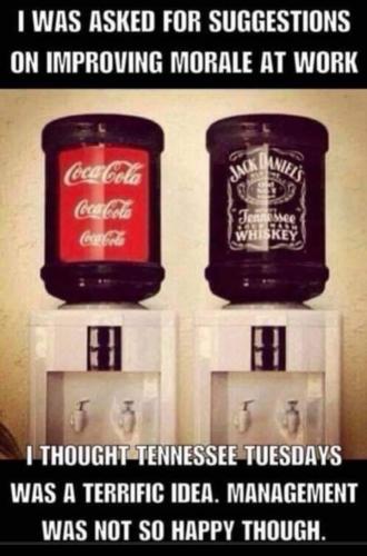 Screenshot_20260210_164735_Gallery