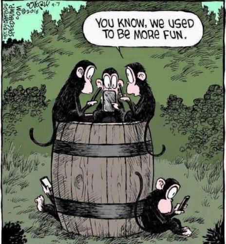 JOa1Aih1YE7iHZeVvXNa_19_cee229a7b0ba5b80fcf1983a3eeaef36_image