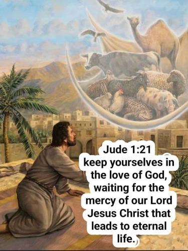 fce011a1f3c3e65e0dafa3c9a4b91b41