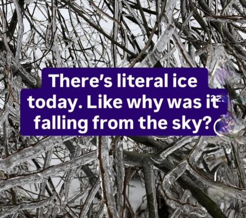 790b59fc-440a-4a9d-b4f6-1dd4b0b2a95c