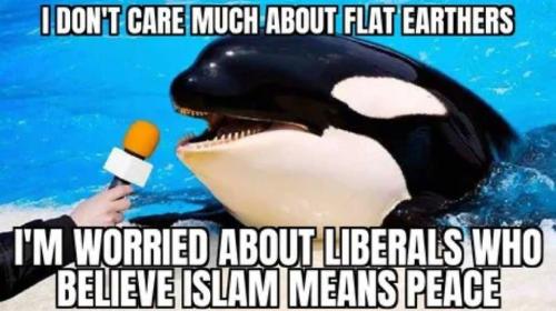 dafe4cf5-749a-4f51-9e07-0bef7f7c7fea