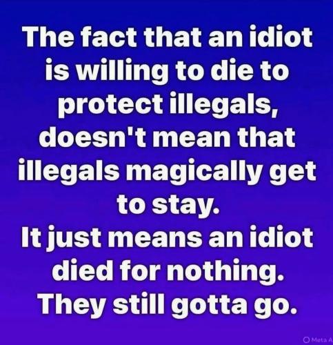 idiot-died-for-nothing