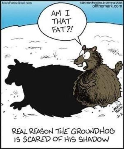 71ff6c59bc63362076c8541c2834eb49