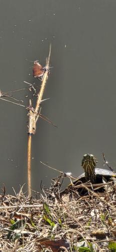 5819dcd5-11f8-4c11-8483-b1312fe3bc73