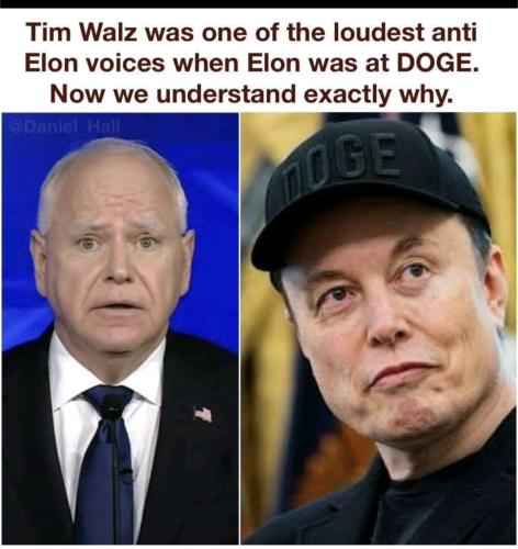tim walz was against elon musk and doge