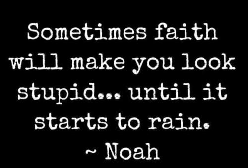 IMG_20260209_195423_402