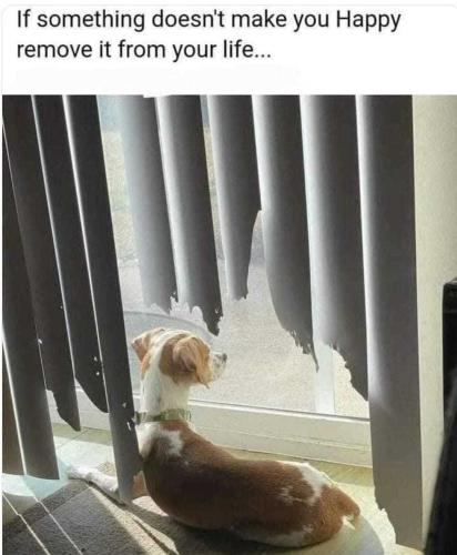 dTjbzxI8gHJcsdMRXkqp_21_449c80117965ef39e9dd26997149274d_image