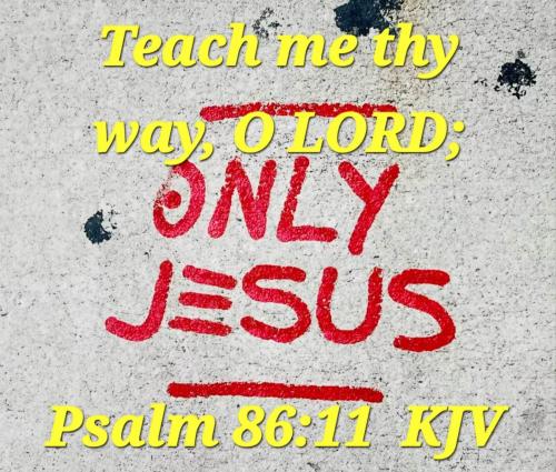 60bb8655-6a35-4b29-a8c6-70753b1b2651