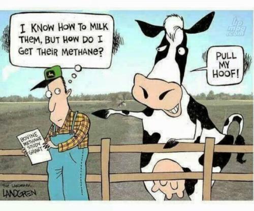 main-qimg-f59ccc07e7cb97bfdaecd478b9baace7