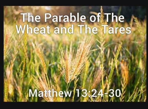 Screenshot_20260217_104900_Grok