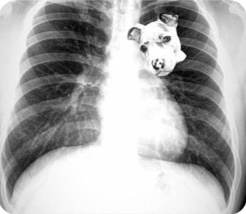 2d68cb9d-de64-405d-ac72-f342f251c440