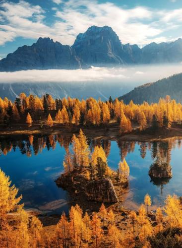 RDT_20260219_1447255293760021065612871