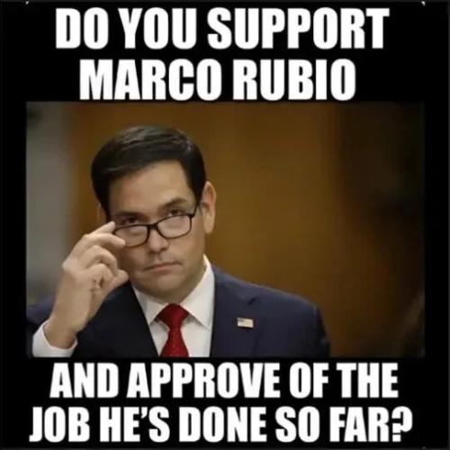 TESTHUB_photos_users_KPBY8Tc46ldqLjWXf6bqxqOW3AR2_-OiVuHbOKaUNvHdCTp8A_img_rsz__1100x1100