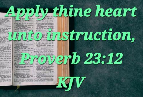 f44216d7-3287-4efb-9e6e-0bcd1bc8d57c