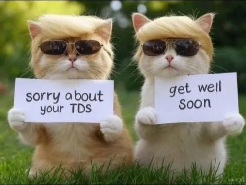 TESTHUB_photos_users_KPBY8Tc46ldqLjWXf6bqxqOW3AR2_-Ol4T_abfaEf29-FDd0f_img_rsz__1100x1100