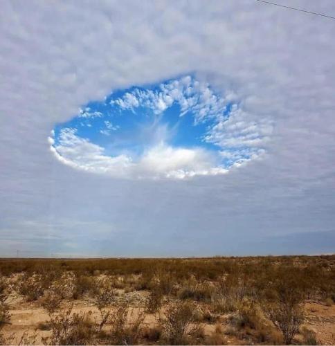 ee5d3c6c-817d-4082-9143-97ad1b0d9c2e