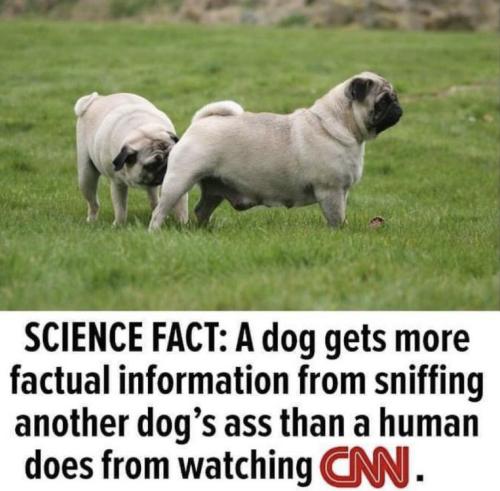 1eedb437-7d97-4d7a-9c0c-174e3c17399c