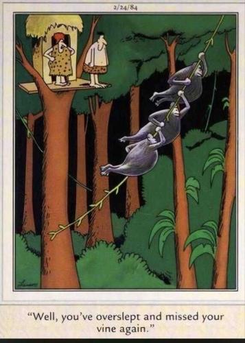 sOQgl8uNyoiecYfMePp3_12_c124b4b8c5be8a3b0ea626770b5746cb_image