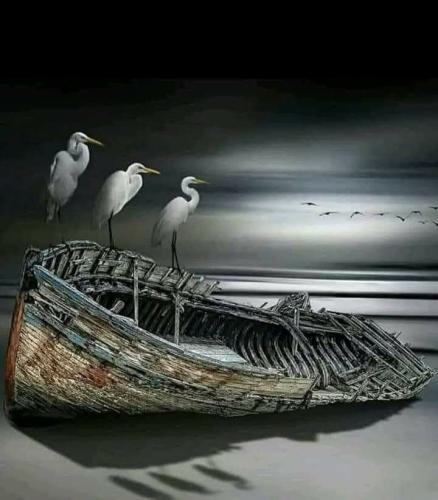 629796808_1226558739577556_9043951676578328890_n