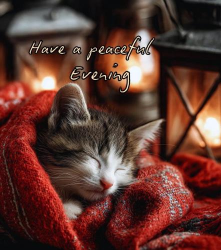 de25e5e38d73198e52402a5b47267d5c