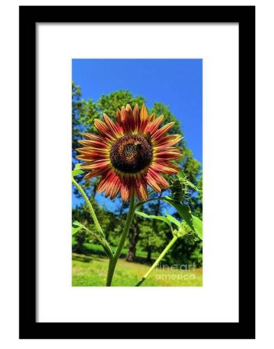 Screenshot_20260211_112814_Brave