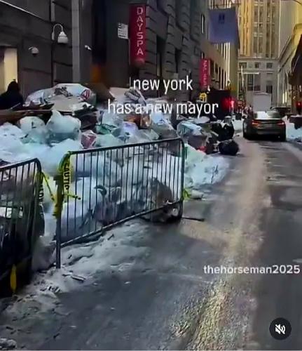 img_rsz__1100x1100 (28)