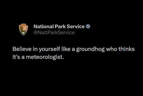 Screenshot_20260202_135949_Instagram