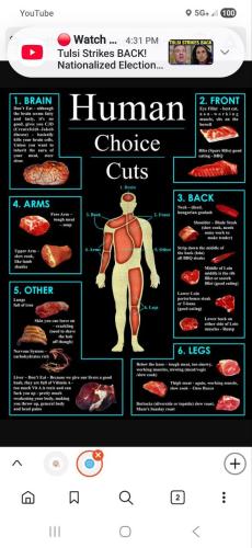 IMG_20260204_123158_665