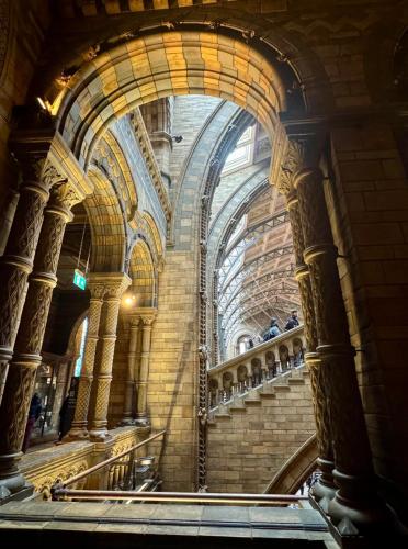 RDT_20260215_1606518417363885549801136