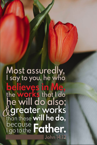 Screenshot_20260211-160333-711