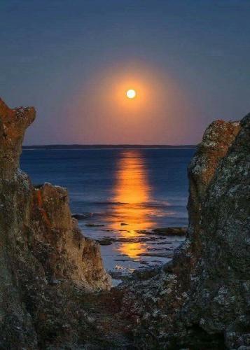 643418487_4209126112566848_4134295032157521188_n