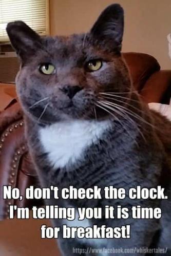 833040b6ad19e4cf1982c920a39ef55c