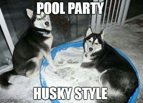 acfeae4652fc8885615416cce45c5c8c