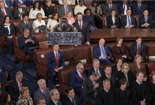 image_8FA85AD9-111A-430E-BCD7-8869222C49EB