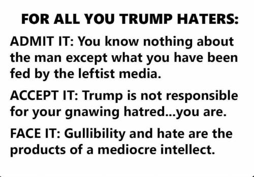 FB_IMG_1753831494761