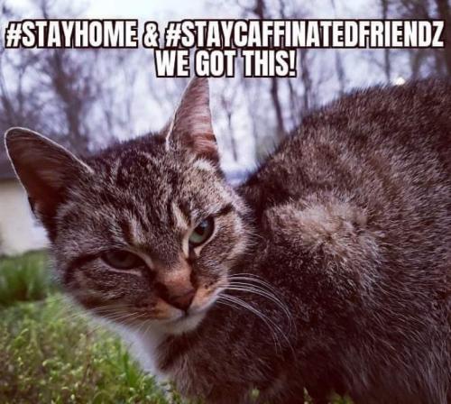 Screenshot_20260223_080943_Gallery