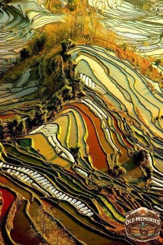 601412142_122211763712322338_3947944411687912249_n