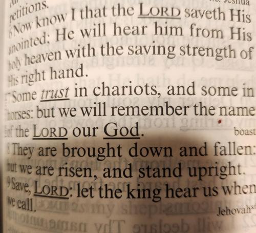 FB_IMG_1772280874304